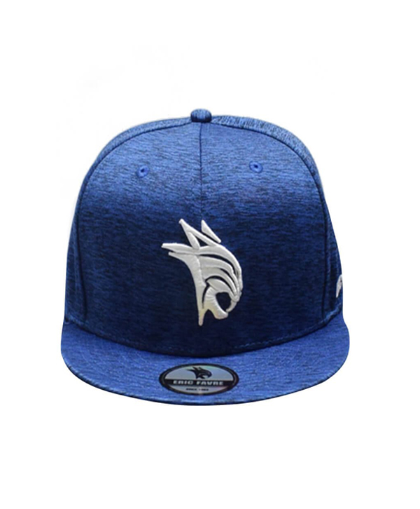 Cap Snapback (Blue Marine) – alfatonic